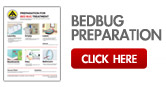 Bed Bugs London Ontario